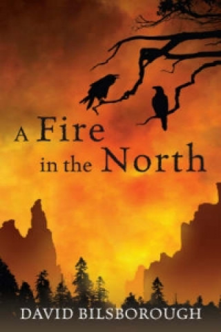 Kniha Fire in the North David Bilsborough