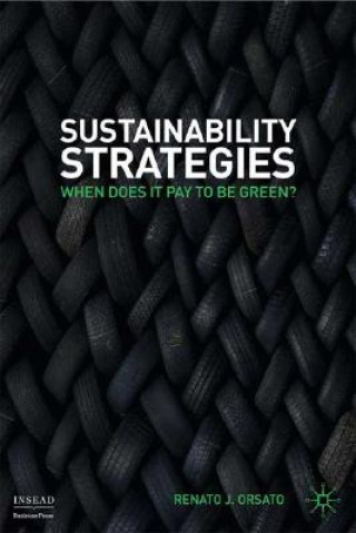 Kniha Sustainability Strategies Renato Orsato