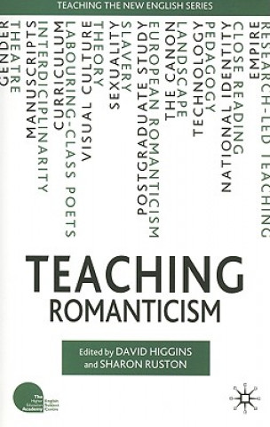 Kniha Teaching Romanticism David Higgins