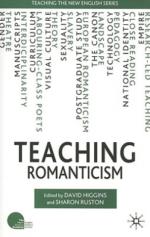 Boek Teaching Romanticism David Higgins