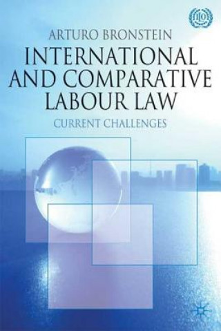 Könyv International and Comparative Labour Law Arturo S. Bronstein