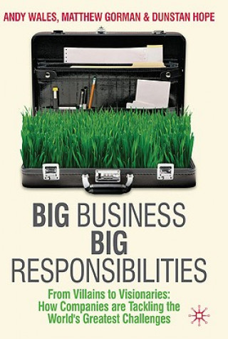 Könyv Big Business, Big Responsibilities Andy Wales