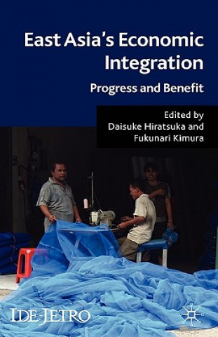 Kniha East Asia's Economic Integration D Hiratsuka