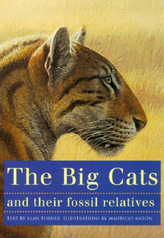 Könyv Big Cats and Their Fossil Relatives Mauricio Antón