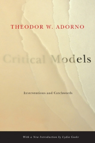 Könyv Critical Models Theodor W. Adorno