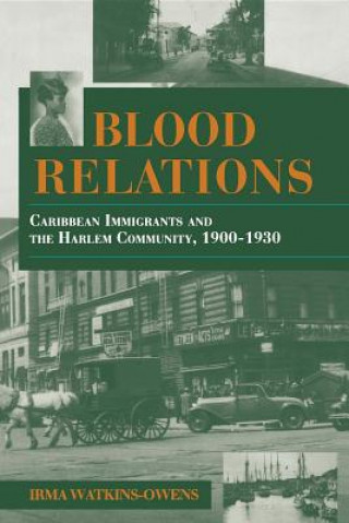 Книга Blood Relations Irma Watkins-Owens