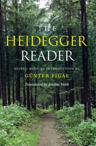 Kniha Heidegger Reader Günter Figal