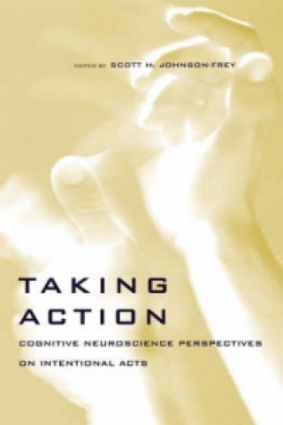 Libro Taking Action Scott H Johnson