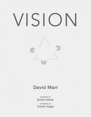 Kniha Vision David Marr
