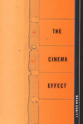 Carte Cinema Effect Sean Cubitt