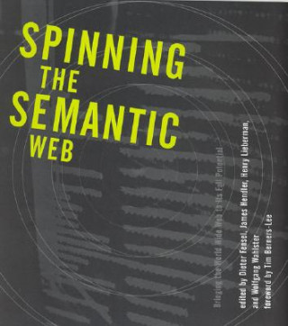 Kniha Spinning the Semantic Web Dieter Fensel