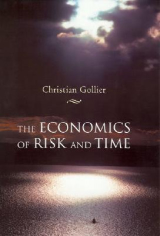 Книга Economics of Risk and Time Christian Gollier