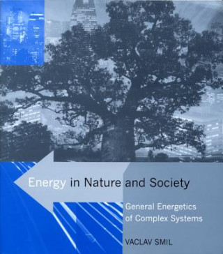 Книга Energy in Nature and Society Smil