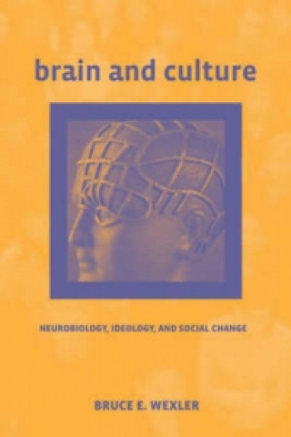 Kniha Brain and Culture Bruce E Webster