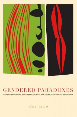 Könyv Gendered Paradoxes Amy Lind