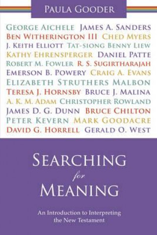 Kniha Searching for Meaning Paula Gooder