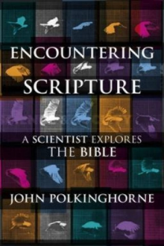 Kniha Encountering Scripture John Polkinghorne