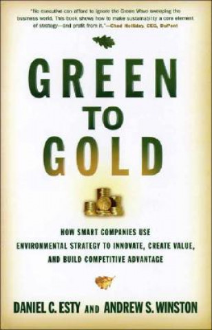 Könyv Green to Gold Daniel C Esty