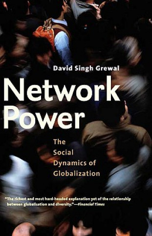 Kniha Network Power David Singh Grewal