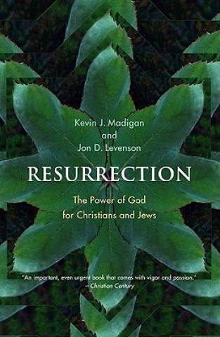 Knjiga Resurrection Kevin J Madigan