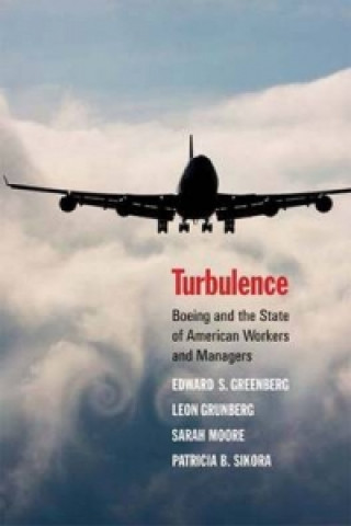 Książka Turbulence Edward S Greenberg