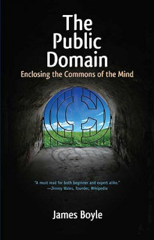 Книга Public Domain James Boyle