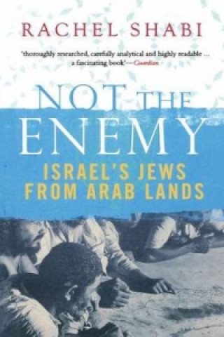 Book Not The Enemy Rachel Shabi