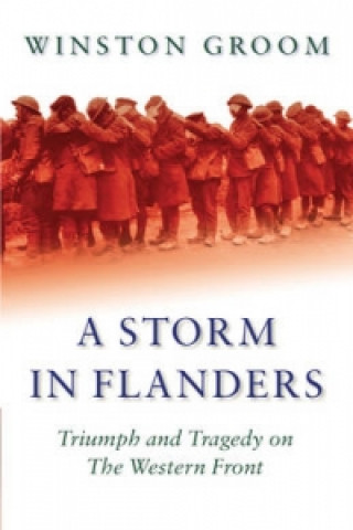 Kniha Storm in Flanders Winston Groom