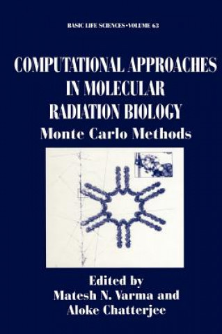 Kniha Computational Approaches in Molecular Radiation Biology Matesh N. Varma