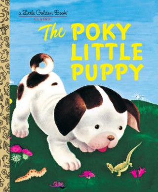 Kniha Poky Little Puppy Janette Sebring Lowrey