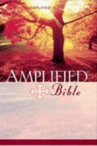 Książka Amplified Bible 
