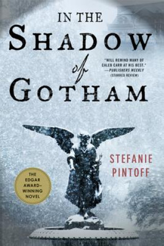 Book In the Shadow of Gotham Stefanie Pintoff