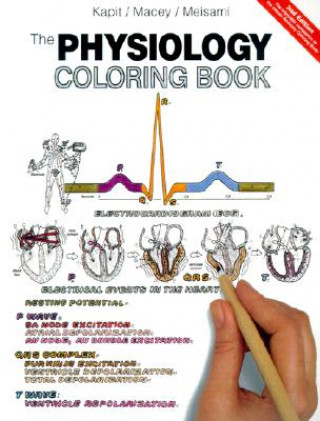 Книга Physiology Coloring Book, The Wynn Kapit