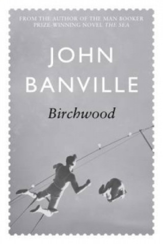 Kniha Birchwood John Banville
