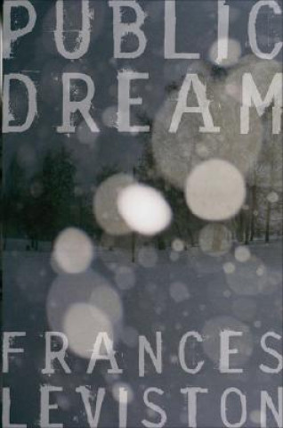 Книга Public Dream Frances Leviston