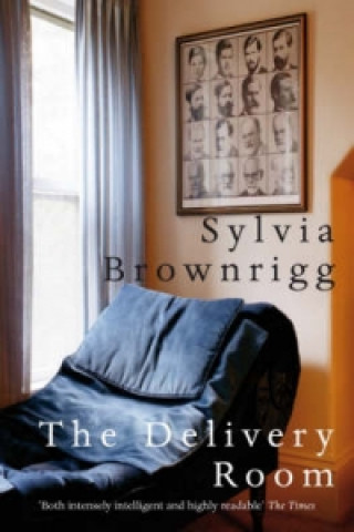 Buch Delivery Room Sylvia Brownrigg