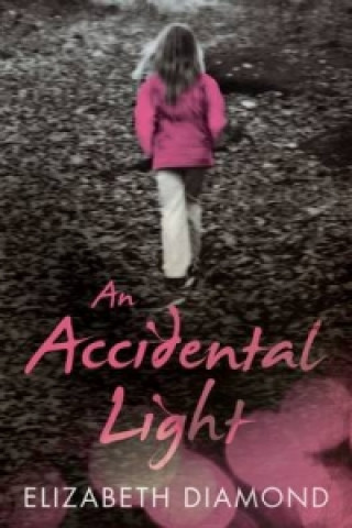 Book Accidental Light Elizabeth Diamond