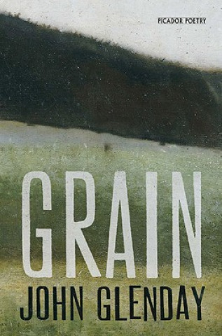 Knjiga Grain John Glenday