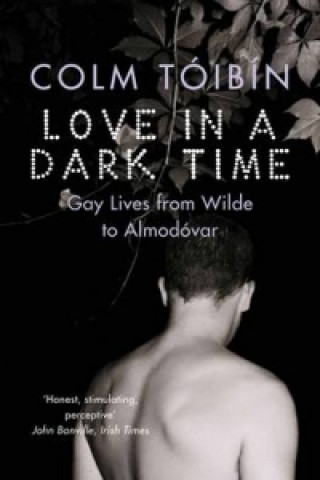 Kniha Love in a Dark Time Colm Tóibín