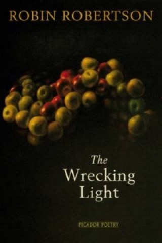 Könyv Wrecking Light Robin Robertson