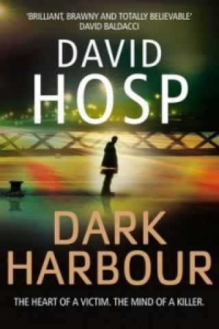 Könyv Dark Harbour David Hosp