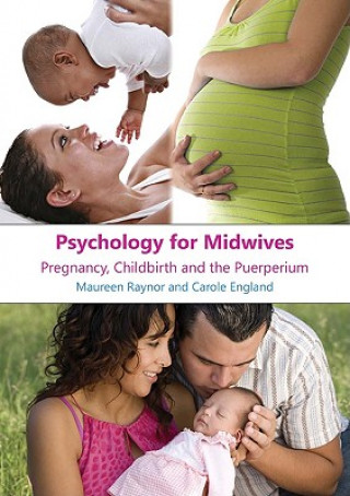 Kniha Psychology for Midwives Maureen Raynor