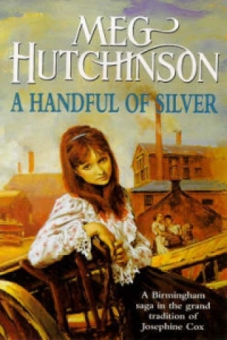 Buch Handful of Silver Meg Hutchinson