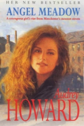 Книга Angel Meadow Audrey Howard