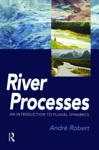 Knjiga RIVER PROCESSES Andre Robert