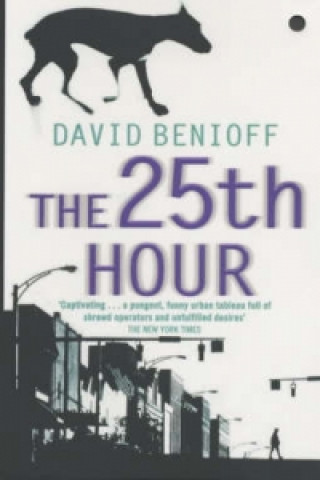 Kniha 25th Hour David Benioff