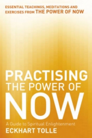 Kniha Practising The Power Of Now Eckhart Tolle