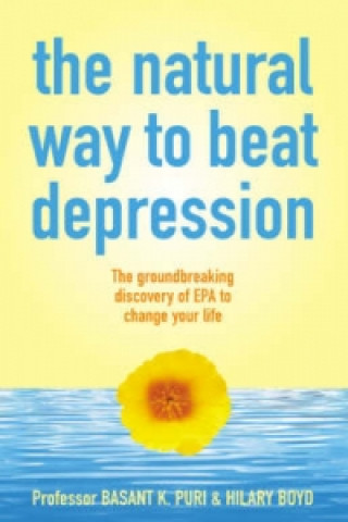 Kniha Natural Way to Beat Depression Hilary Boyd