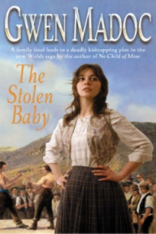 Libro Stolen Baby Gwen Madoc