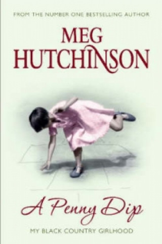 Buch Penny Dip Meg Hutchinson